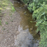 Jamison Creek